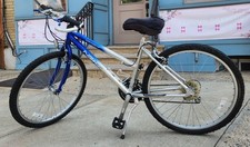 OXYGEN NEXT Ladies Bicycle