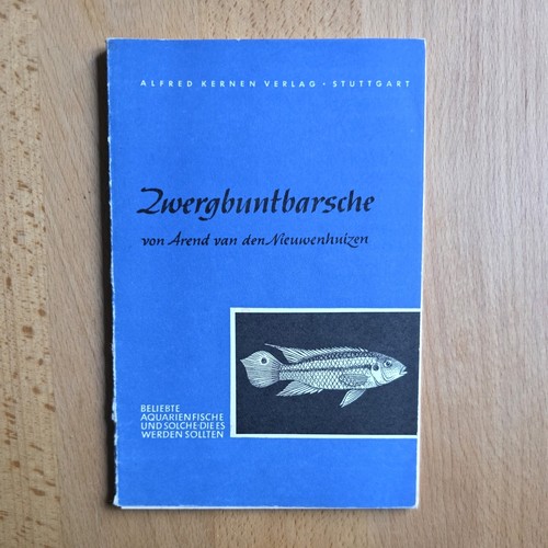 Nieuwenhuizen - ,