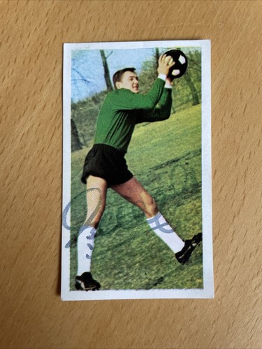 Sicker bundesliga asse 1966 - bundesliga, 1966/67