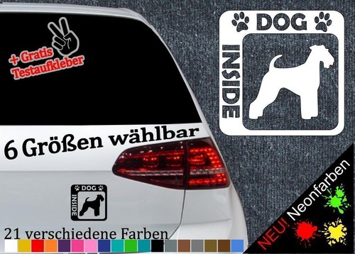 Airedale terrier inside - terrier,