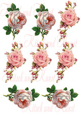 Wasserschiebefolie oder Rub on Classic 2 x 4 Rosen shabby chic Möbeltattoo A 4