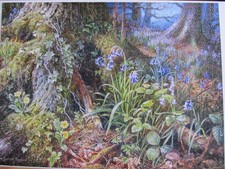 Castorland Puzzle 2000 Teile "FROM RUSLAND WOOD" Vollständig No.200764-2