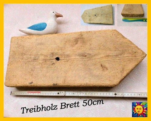 Treibholz schwemmholz - treibholz,