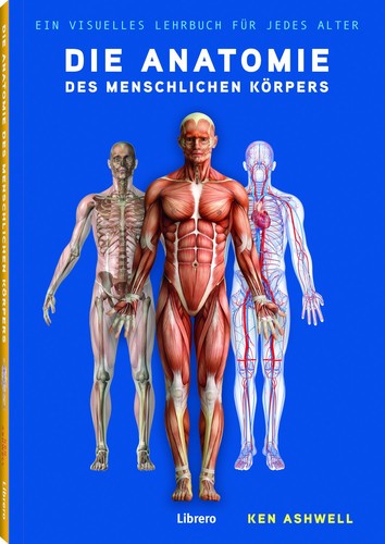 Die anatomie des menschlichen - die,