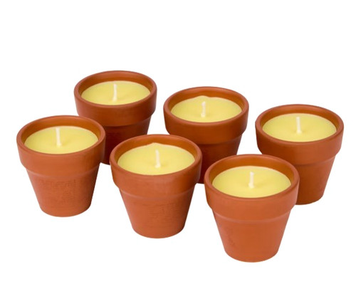 Citronella kerzen im - kerzen,