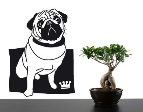 Wandtattoo mops möpse - mops,