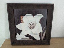 Bild von Claudia Ancilotti, Blume, neuwertig!