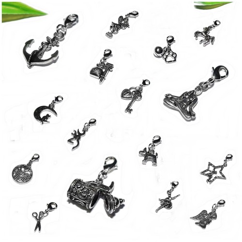 Auswahl charms anhänger - charms,