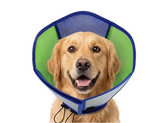 Schutzkragen hund - op, xl