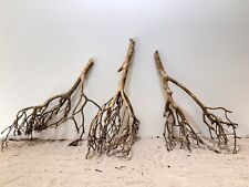 Tea Branch Talawa XL, Moorwurzel, Moorkien, Mangrove, SET 3 Stück #1037 30-50cm