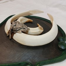 sehr  gute Keilerwaffen