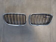 BMW Nieren, Frontziergitter