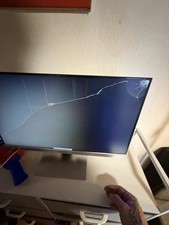 Terra 2462W Monitor Defekt