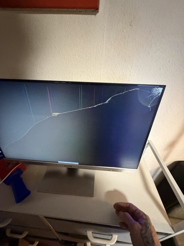 Terra 2462w monitor defekt - terra,