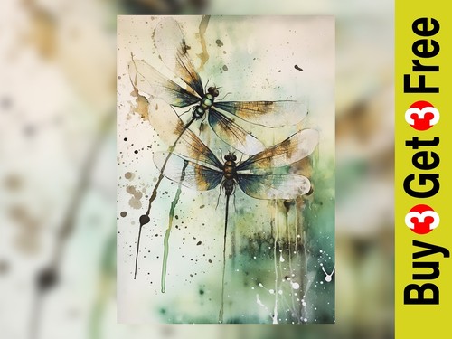 Elegante libelle aquarell - elegante,