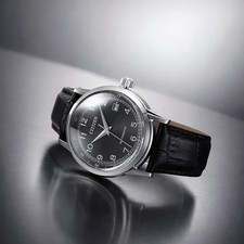 Citizen automatic collection - citizen,