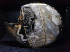 Achatscheibe, Rio Grande do