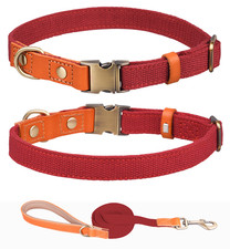 Halsband und Leine Set