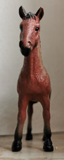Pferd fohlen tinker - fohlen,