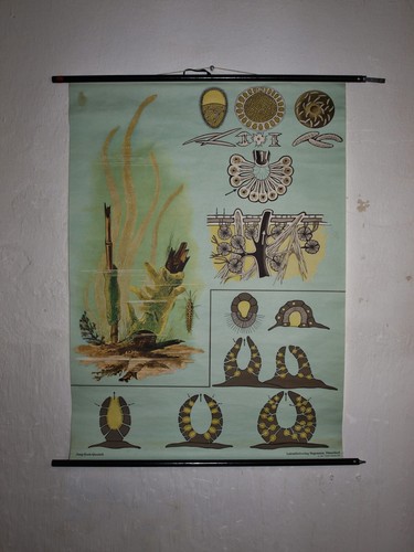 Vintage schulwandkarte - vintage,