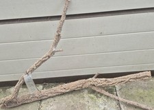 XL Korkast ,Chinchillas,Reptilien,Schildkröten,Vogelvolieren # 4652