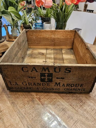 Leere holzkiste cognac camus - holzkiste,