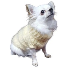 Chihuahua Hundebekleidung