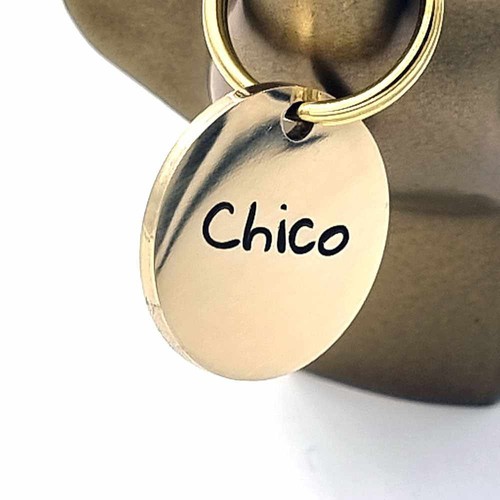 Personalisierte hundemarke mit - personalisierte,