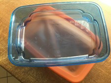 Tupperware G 30,Micro Frost G 800 ml, Alles in einem Behälter Frost/ Mikrowelle