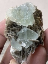 365 Karat erstaunlicher