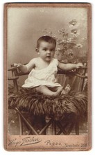 Fotografie Hugo Fischer