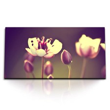 120x80cm kunstdruck bilder - 120x80cm,