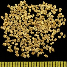 Echte goldnuggets aus - goldnuggets, alaska