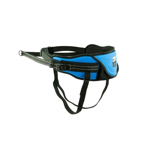 Relax flash belt canicross - relax-flash, |