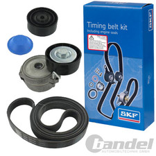 SKF KEILRIPPENRIEMEN-SATZ