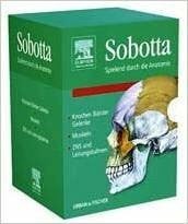 Sobotta lernkarten spielend - sobotta,