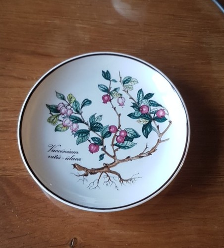 Villeroy boch botanica - villeroy,