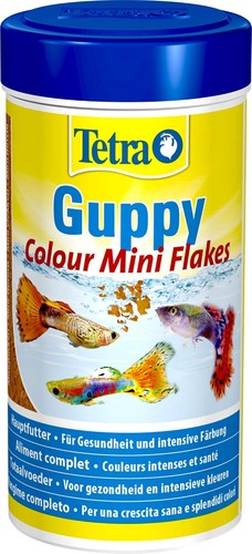 Tetra guppy colour mini - tetra,