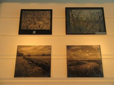 Lot 4 x Antique Glass Slide