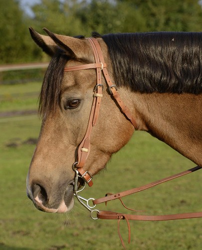 Busse westerntrense smart - westerntrense,