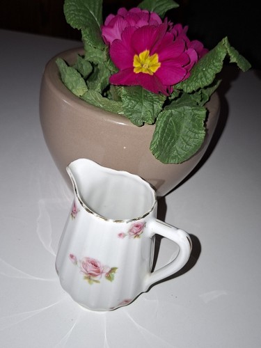 Milchkännchen kännchen - milchkännchen,