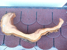 Baumscheibe Astscheibe