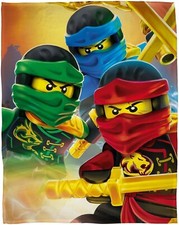 Panel Ninjago 40x60 cm