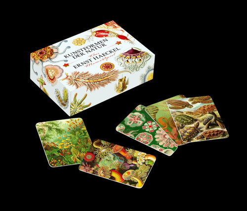 Das ernst haeckel - das, ernst-haeckel-memo-spiel