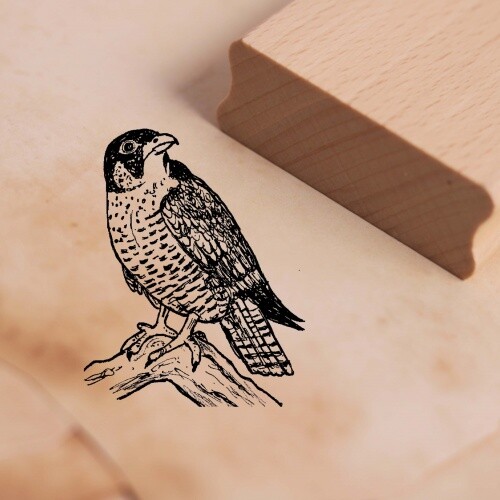 Motivstempel wanderfalke - wanderfalke,