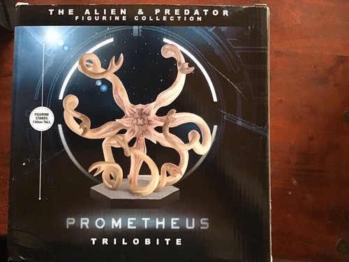 Eaglemoos prometheus trilobite - eaglemoos,