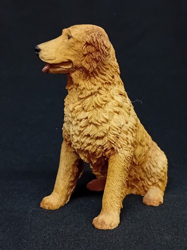 Castagna golden retriever - castagna, 'golden