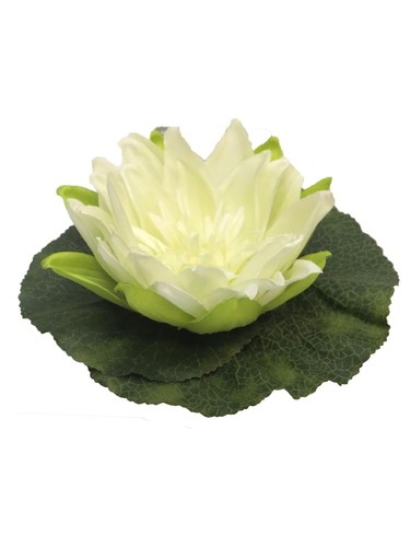Artplants kunst seerose - artplants,