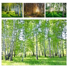 WALD BIRKENWALD NATUR Vlies