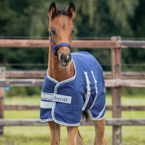 Toklat bucas ripstop foal - ripstop,